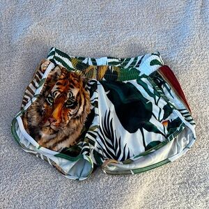 Aviator nation tiger shorts